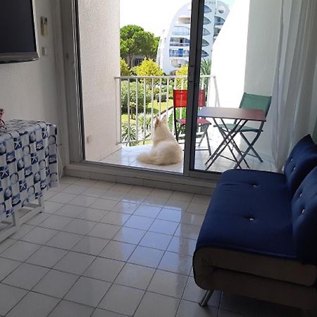 Vittoria Immobilier 6 -Reglement Sur Place - Cheques Vacances Acceptes ラ・グランド・モット エクステリア 写真