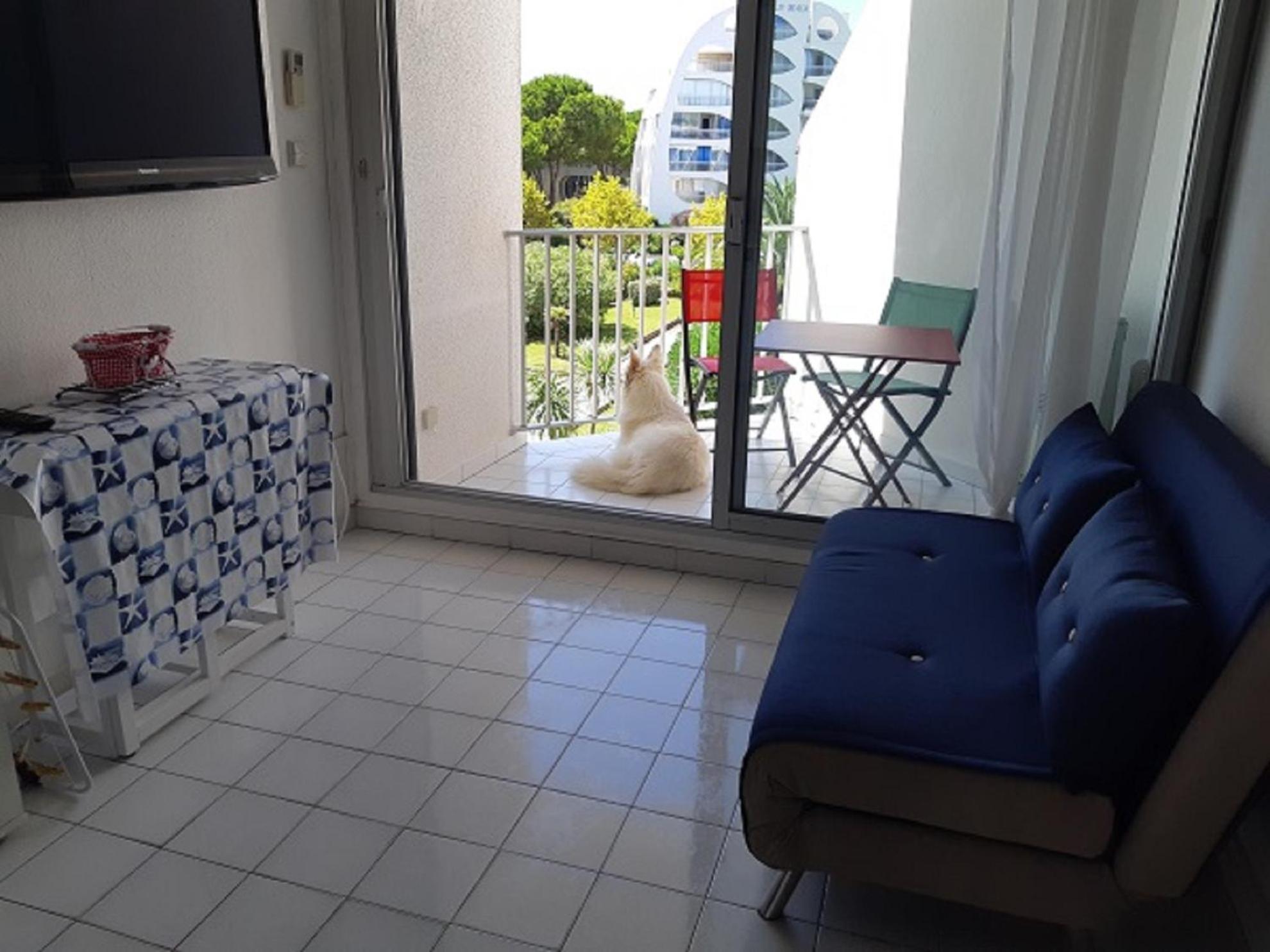 Vittoria Immobilier 6 -Reglement Sur Place - Cheques Vacances Acceptes ラ・グランド・モット エクステリア 写真